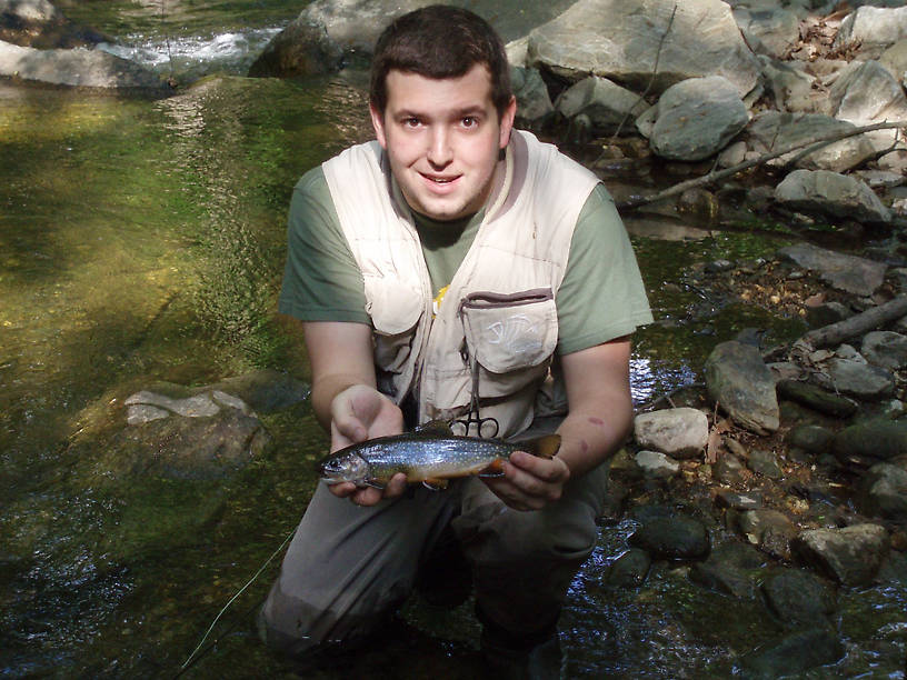 Nice brookie from western Maryland