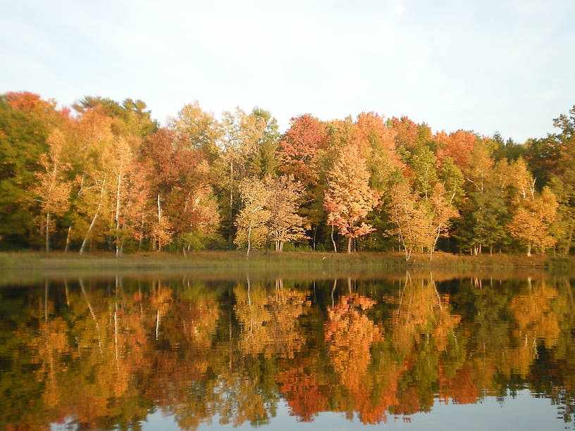 Cooke Pond Shoreline