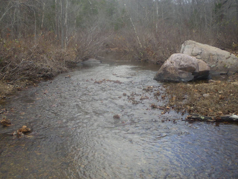 A nice run on the creek below the falls. During the warmer months, this part of the creek is full of feeding smallmouth bass and longear sunfish.