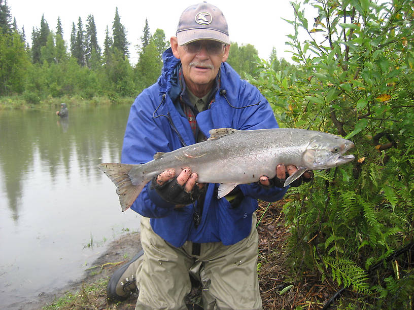 Otter Creek Alaska hen silver salmon