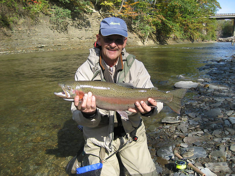 Just a gorgeous steelhead