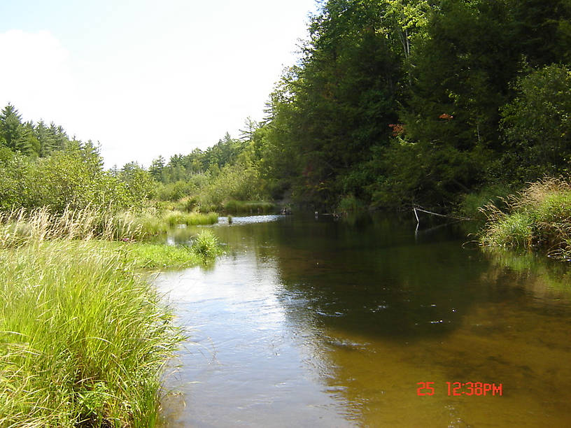 Fishing the Boardman River