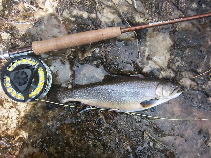 Chunky guy on a streamer.