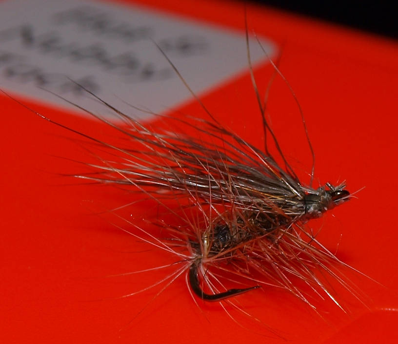 "Elk Hair Caddis"