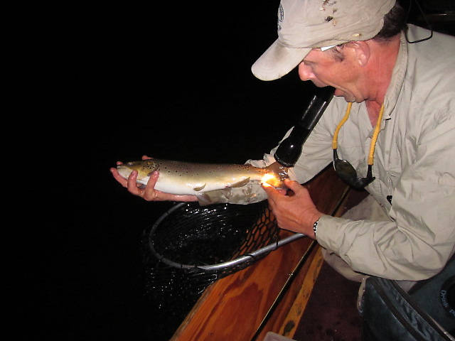 My friend Jim holding my last Brown of the evening and this trip up. We both had fished over this one with no luck when he finally took my offering. We caught this just as another boat was sliding by in the dark. I yelled, "There he is Jimmy!" and they were waiting down at the take out and asked how big it was.